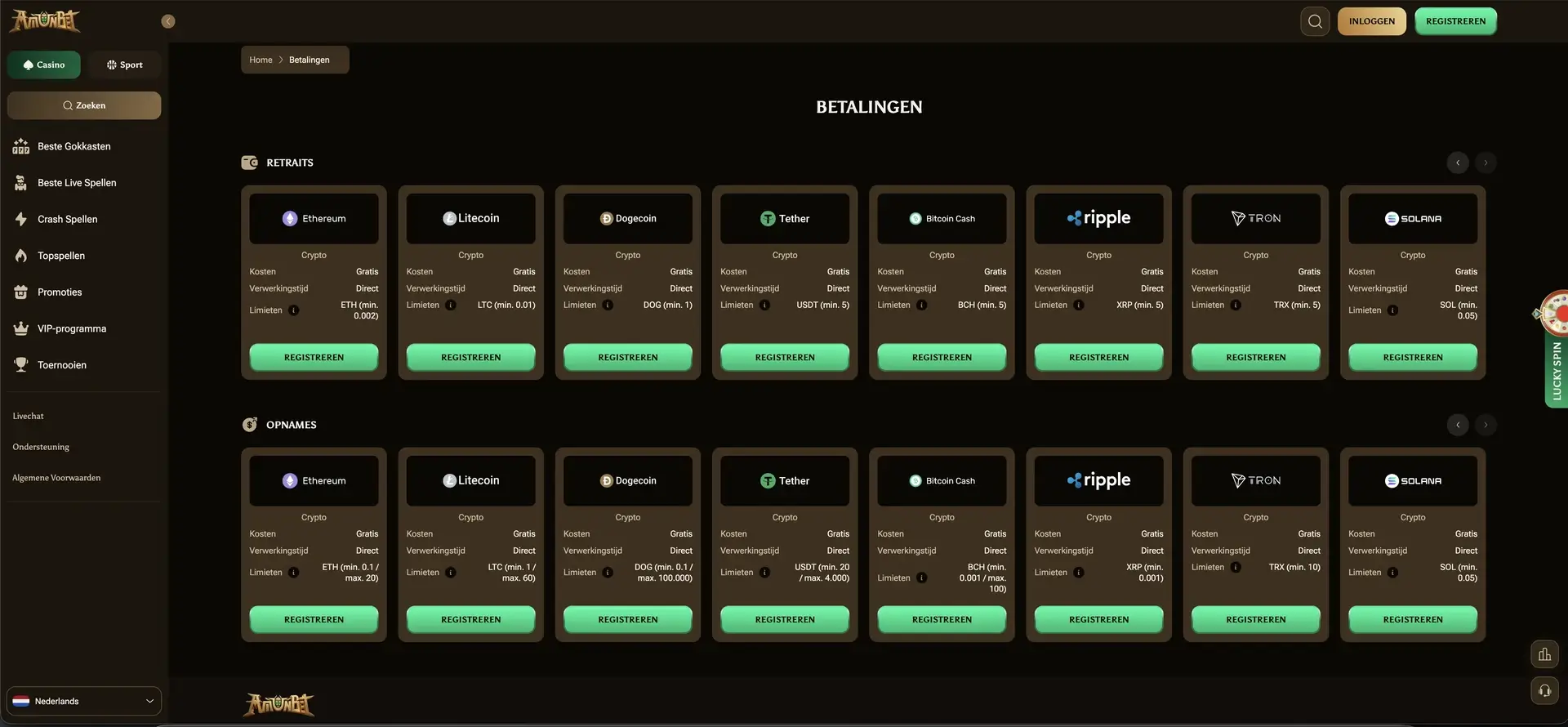 payment methods bij Amunbet Casino
